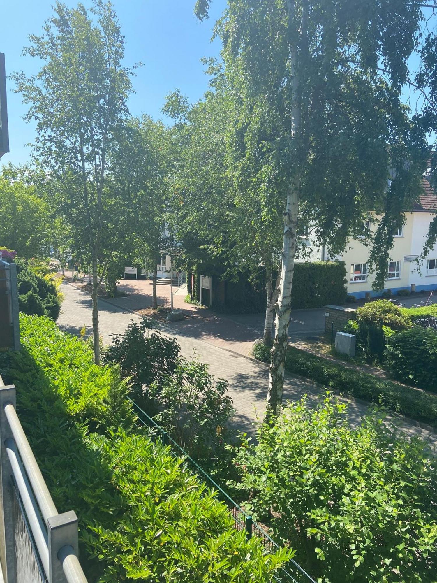 Meeresrauschen Zingst Exteriör bild